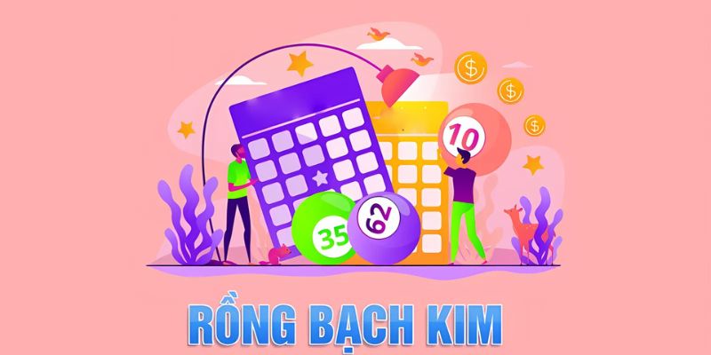 huong-dan-soi-cau-rong-bach-kim-co-ban