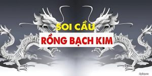 soi-cau-rong-bach-kim