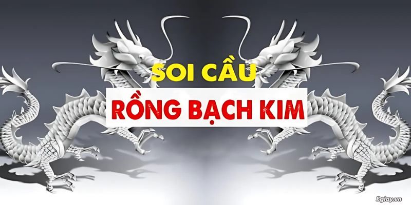 soi-cau-rong-bach-kim